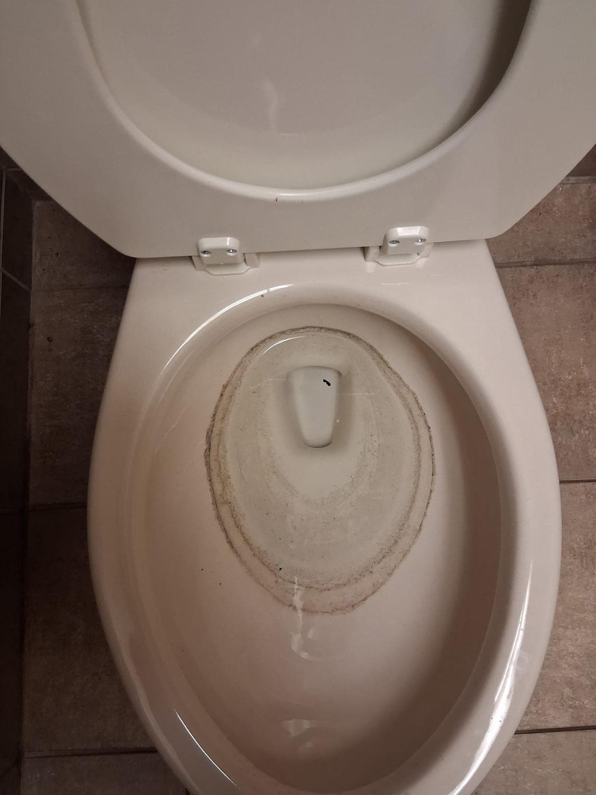 Toilet Sanitization — before cleaning